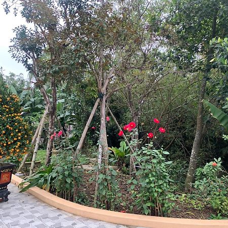Tre Xanh Homestay Ninh Binh Exteriér fotografie
