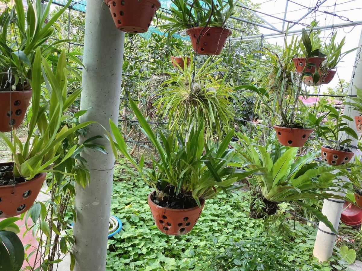 Tre Xanh Homestay Ninh Binh Exteriér fotografie
