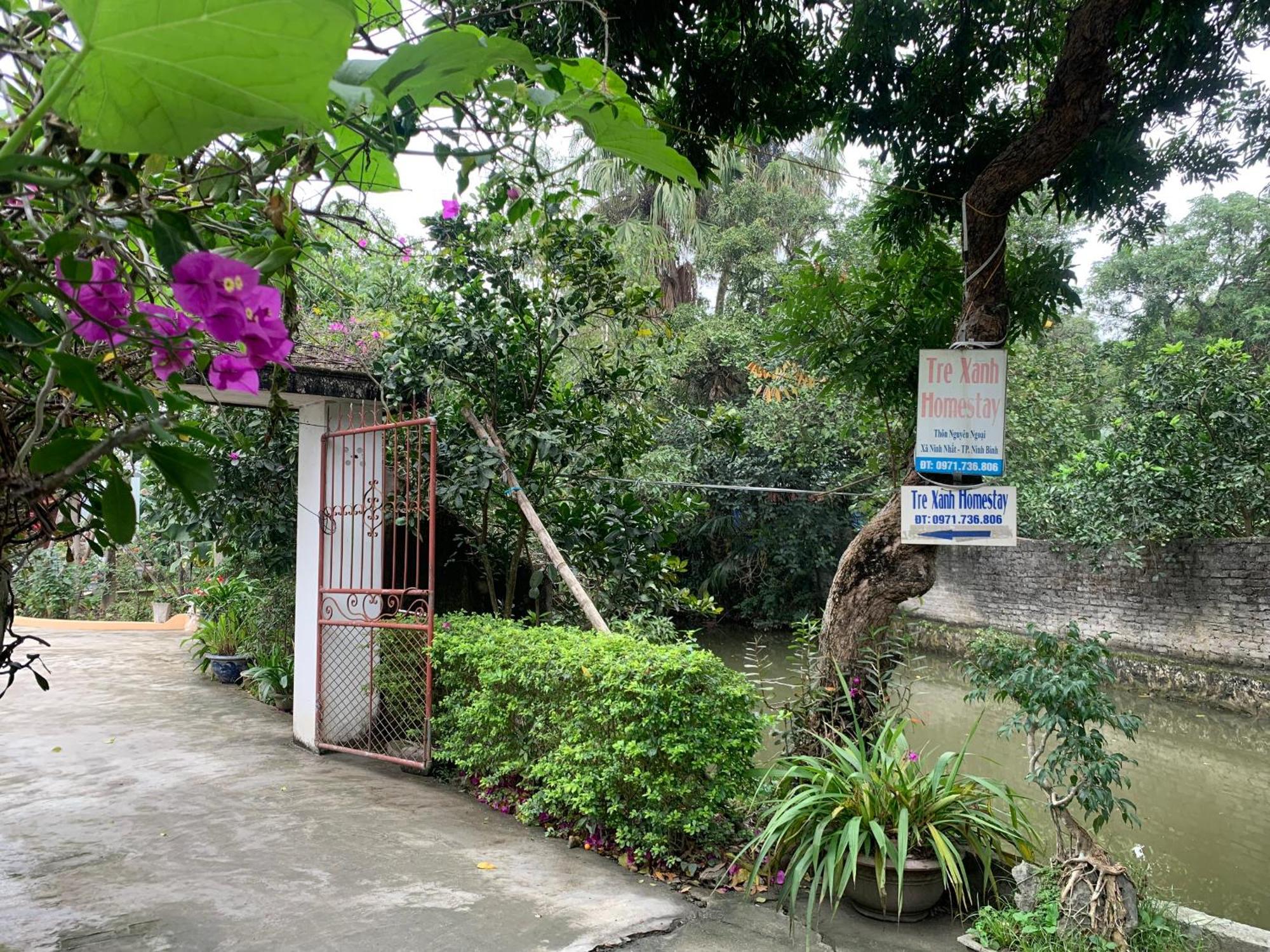 Tre Xanh Homestay Ninh Binh Exteriér fotografie