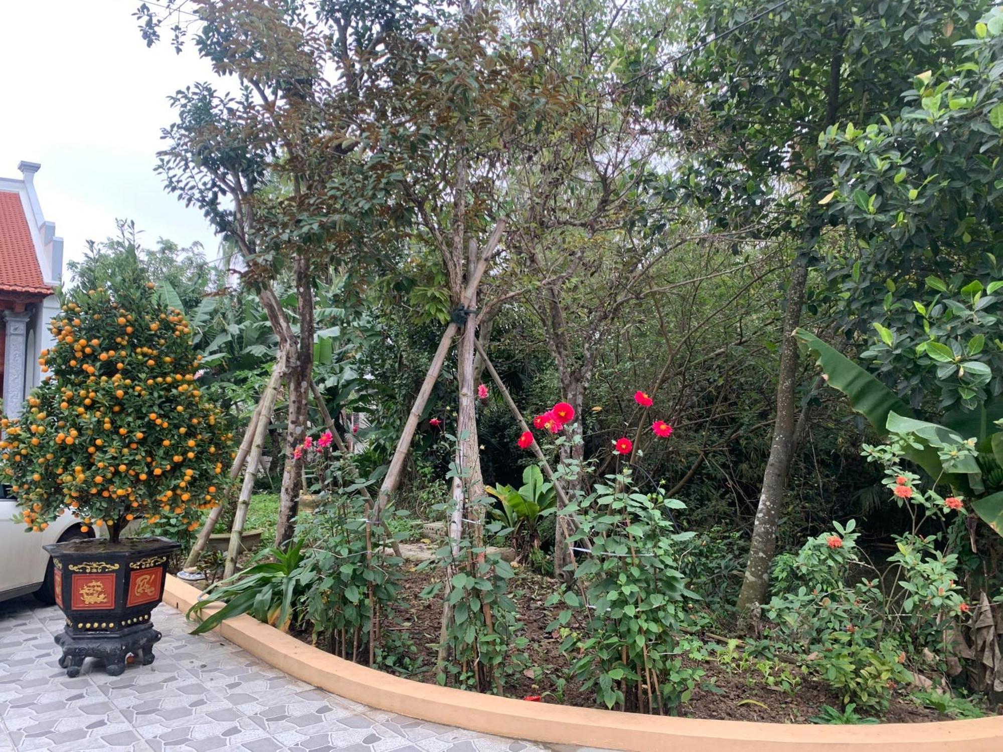Tre Xanh Homestay Ninh Binh Exteriér fotografie