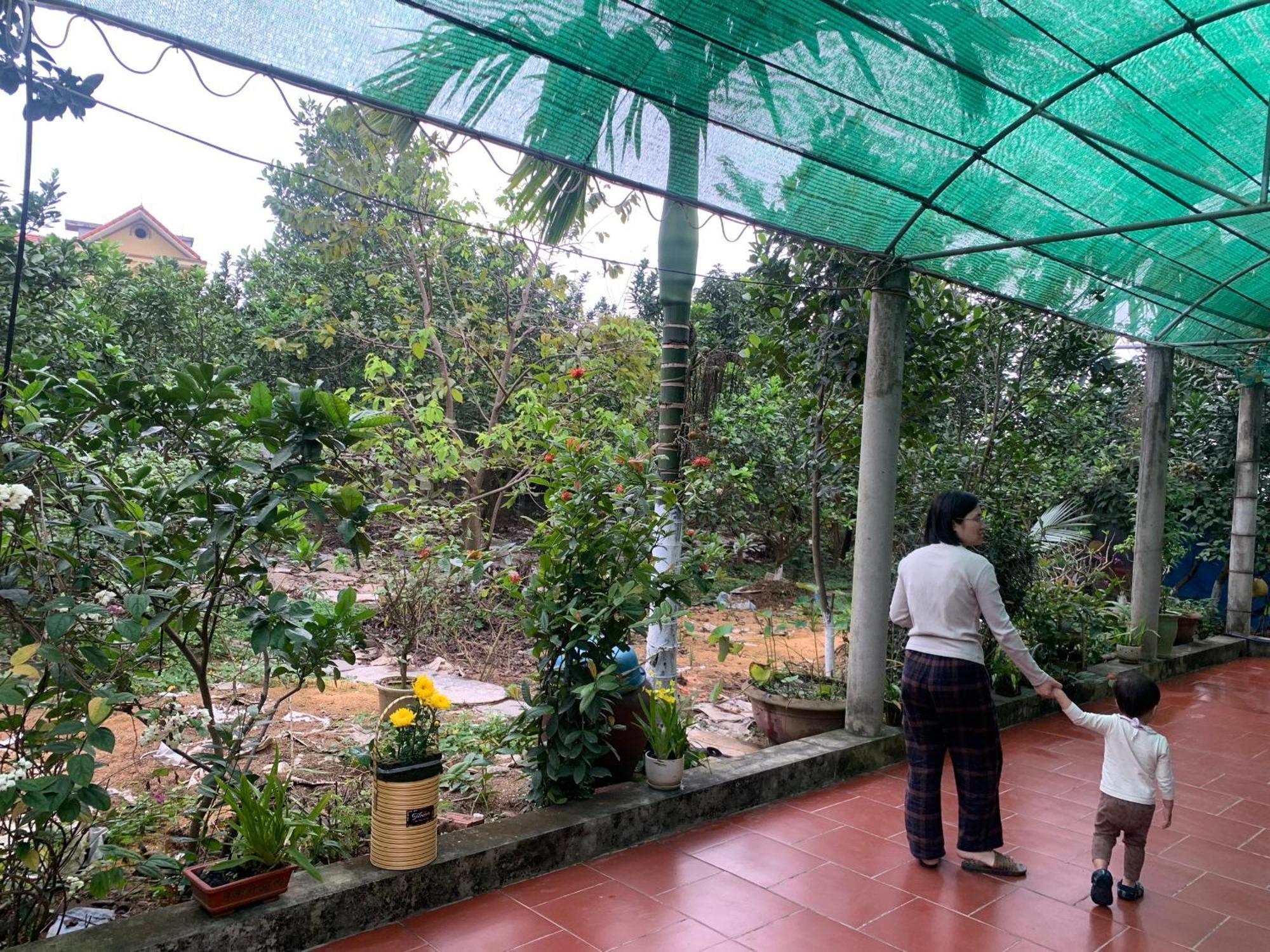 Tre Xanh Homestay Ninh Binh Exteriér fotografie