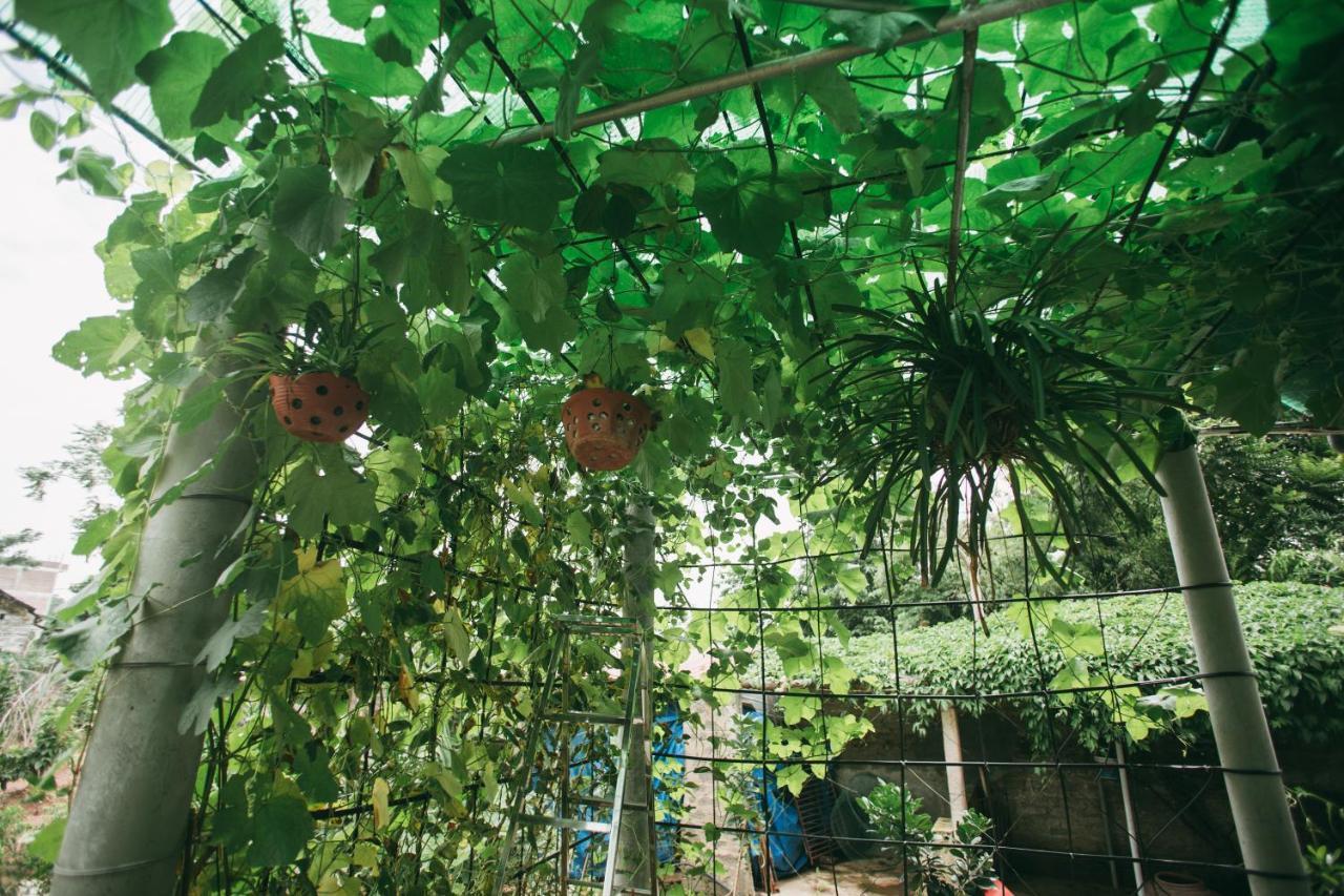 Tre Xanh Homestay Ninh Binh Exteriér fotografie